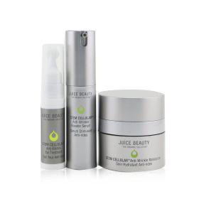 Anti-Wrinkle Solutions Set: 1xStem Cellular Anti-Wrinkle Moisturizer - 15ml/0.5oz + 1xStem Cellular Anti-Wrinkle Booster Serum - 15ml/0.5oz + 1xS
